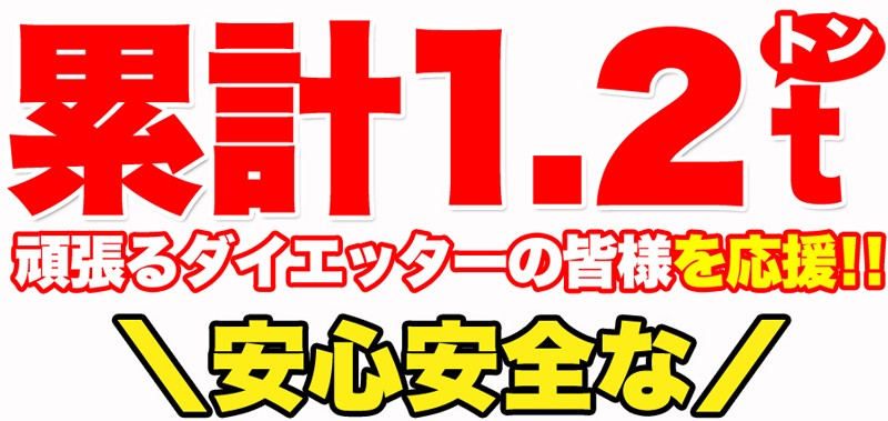 ダイエットこんにゃくチップ こんにゃく ダイエット チップス おやつ 国産 ダイエット お菓子 低カロリー おやつ ヘルシー 乾燥 食品 おやつ 無添加