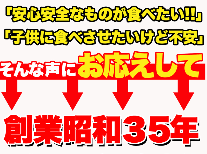 ダイエットこんにゃくチップ こんにゃく ダイエット チップス おやつ 国産 ダイエット お菓子 低カロリー おやつ ヘルシー 乾燥 食品 おやつ 無添加