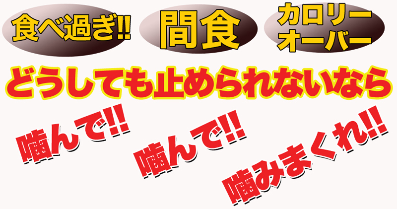 ダイエットこんにゃくチップ こんにゃく ダイエット チップス おやつ 国産 ダイエット お菓子 低カロリー おやつ ヘルシー 乾燥 食品 おやつ 無添加