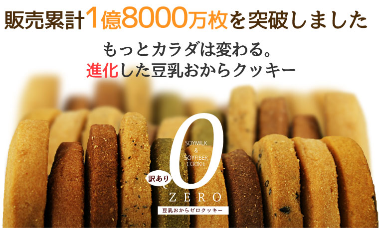 1167円 ご注文で当日配送 豆乳おからZEROクッキー 10種 ベーシックタイプ 500g×2袋