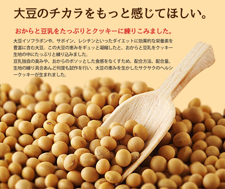 豆乳おからZEROクッキー10種 ダイエット食品 ダイエットクッキー ダイエット 健康食品 ダイエットフード 低カロリー 置き換え ダイエット 満腹 低GI 訳あり ダイエットクッキー 豆乳おからクッキー おからクッキー