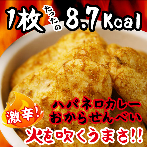 ハバネロカレーおからせんべい 600g  【送料無料】   (325094)