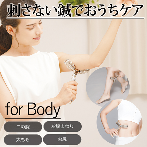 刺さない鍼 美容 ボディエステローラー 【送料無料】  (328442)