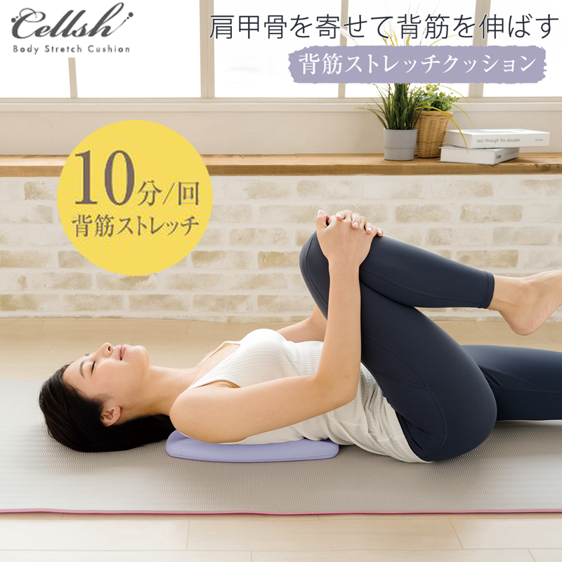 背筋ストレッチ クッション Cellsh  【送料無料】  (328501)